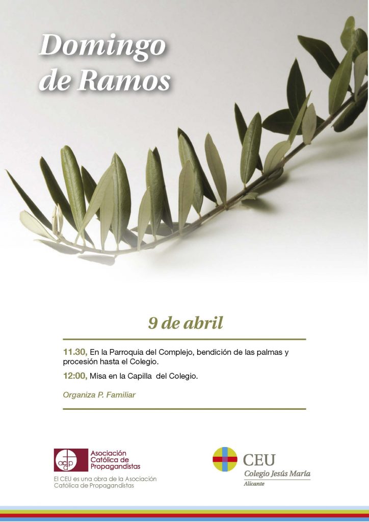 Cartel Domingo de ramos (2)