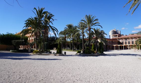 ceu–colegio-alicante-open-day-marzo-2026