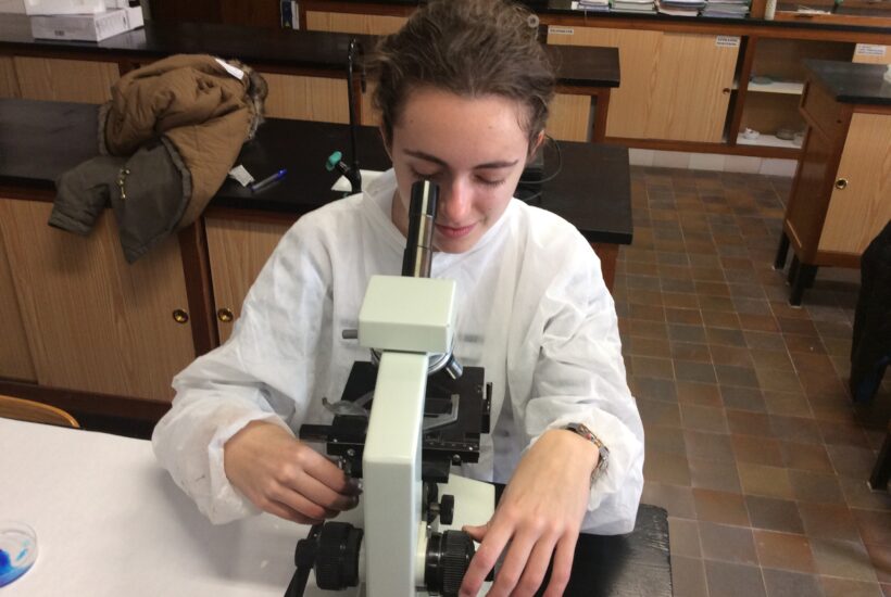 estudiando la estructura celular al microscopio