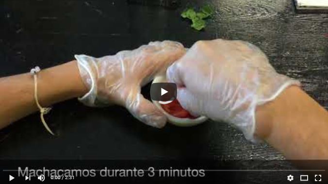 vídeo extracción adn de una fresa